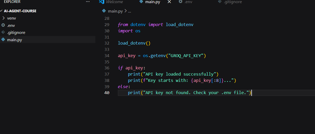 main.py with API key loading code in VS Code