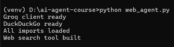 Terminal showing web search tool built